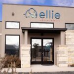 How Ellie Mental Health Is Changing Therapy Access in 2026 How Ellie Mental Health Is Changing Therapy Access in 2026